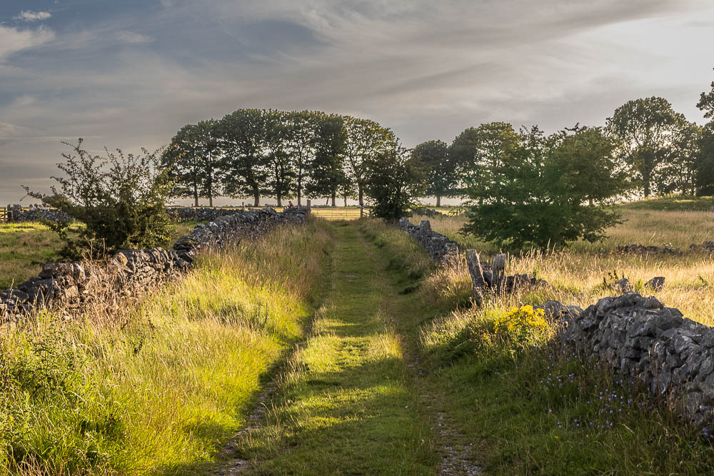 Middleton Moor Middleton Moor